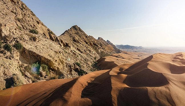 /media/abwni3vu/why-attend4.webp?quality=95&format=webp